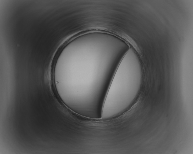 X0000101181028200806270822
