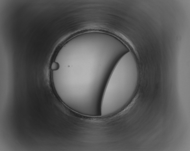 X0000101181029200806270822