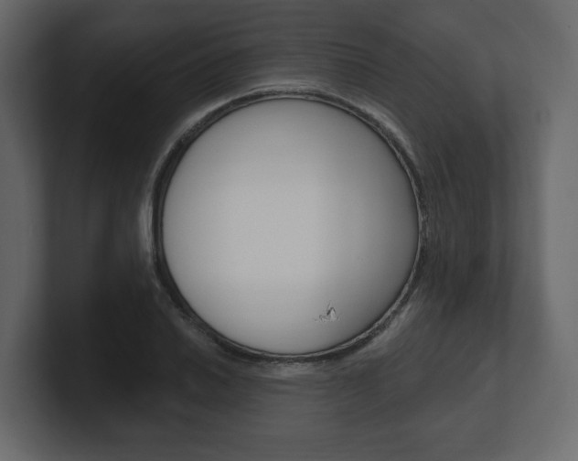 X0000101181030200806270822