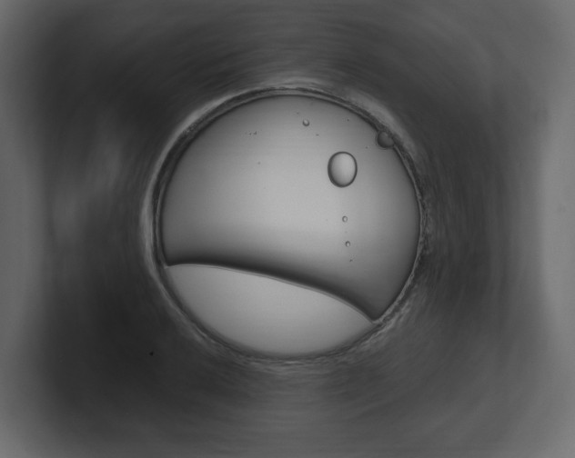 X0000101181032200806270822