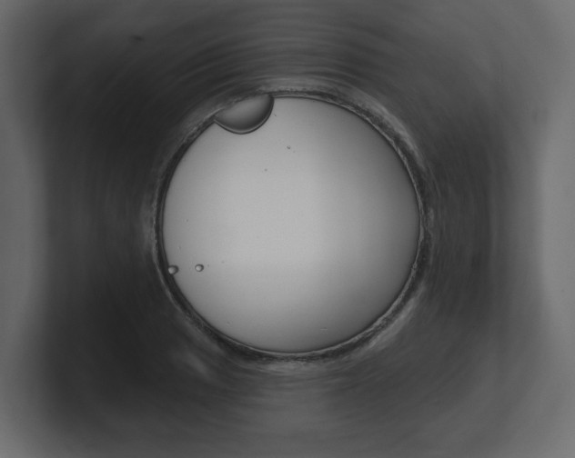 X0000101181033200806270822