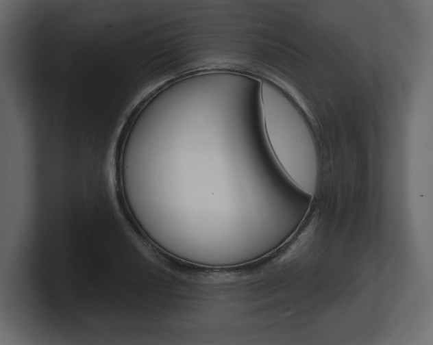 X0000101181034200806270822
