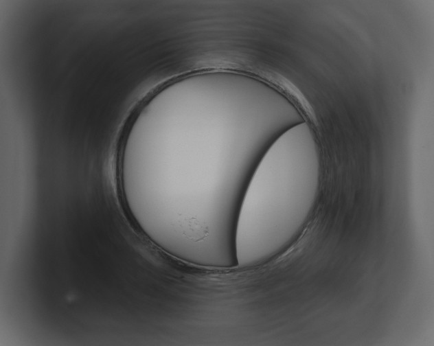 X0000101181035200806270822