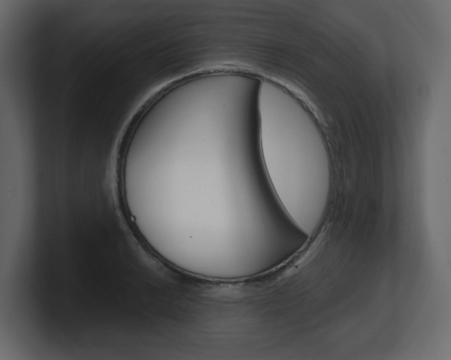 X0000101181038200806270822