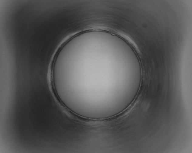 X0000101181040200806270822