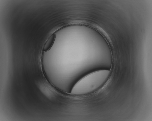 X0000101181041200806270822