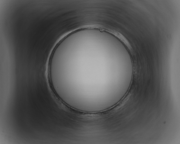 X0000101181044200806270822