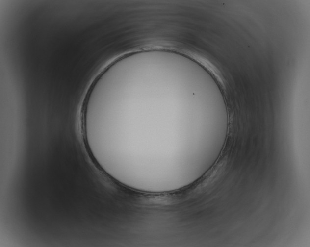 X0000101181047200806270822