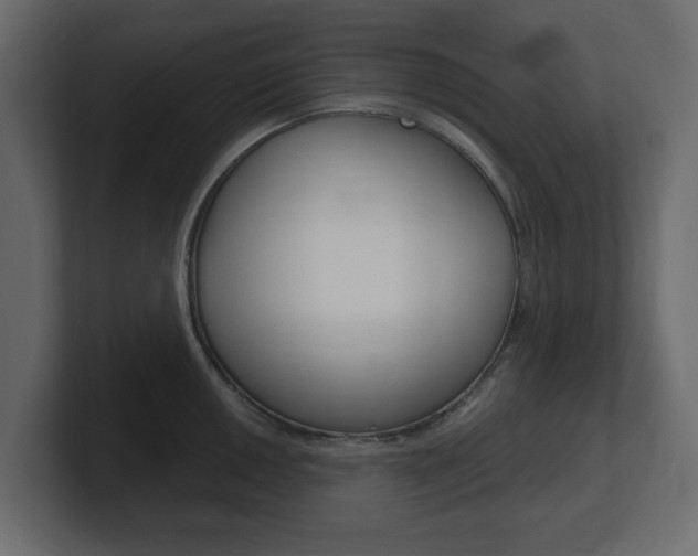 X0000101181050200806270822
