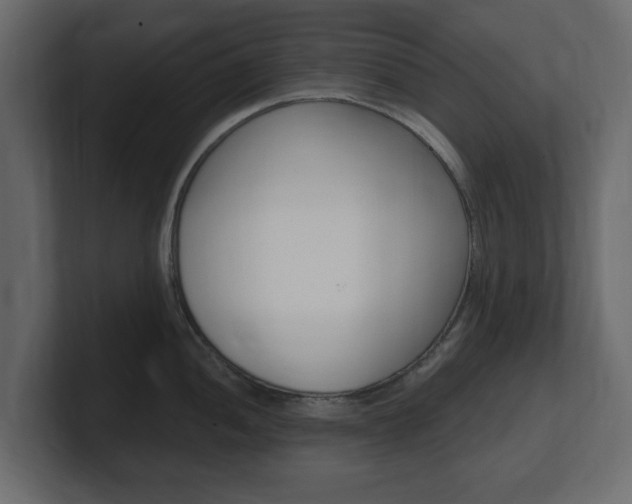 X0000101181052200806270823