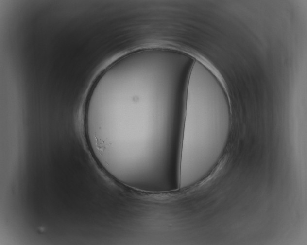 X0000101181053200806270823
