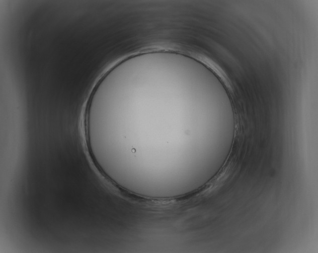 X0000101181055200806270823