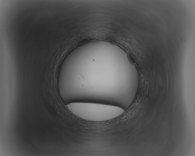 X0000101181057200806270822