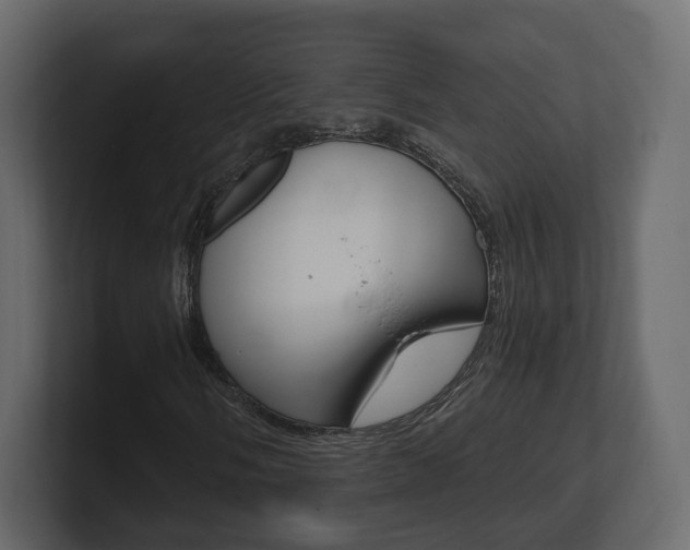 X0000101181058200806270822