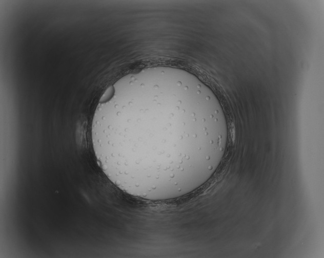 X0000101181059200806270822