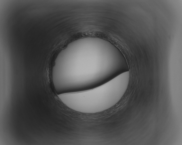 X0000101181060200806270822