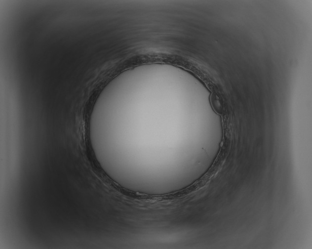 X0000101181061200806270822