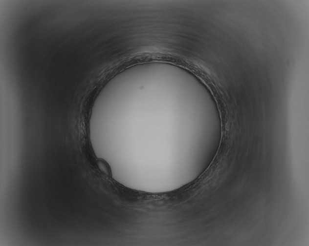 X0000101181062200806270822