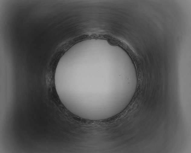 X0000101181063200806270822