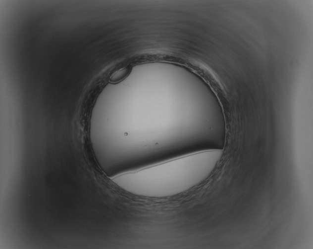 X0000101181064200806270822