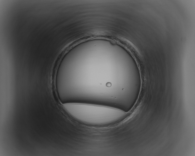 X0000101181065200806270822