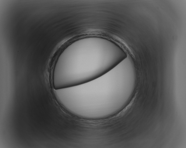 X0000101181066200806270822