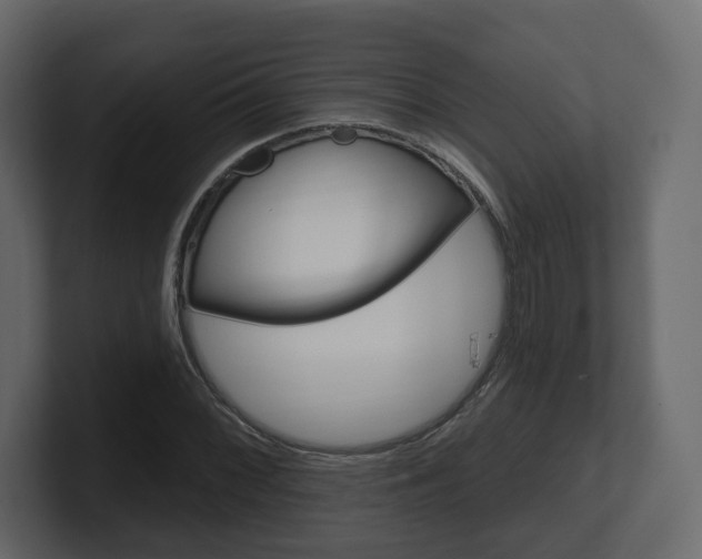 X0000101181068200806270822