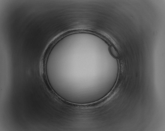 X0000101181069200806270822