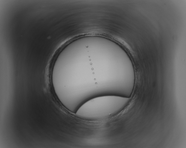 X0000101181071200806270822