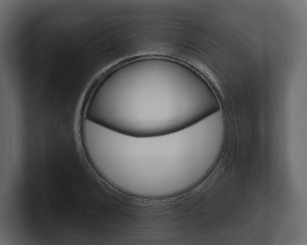 X0000101181072200806270822