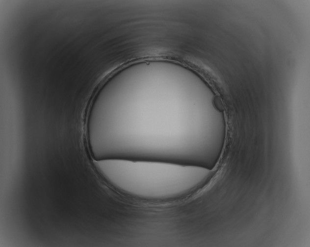 X0000101181073200806270822