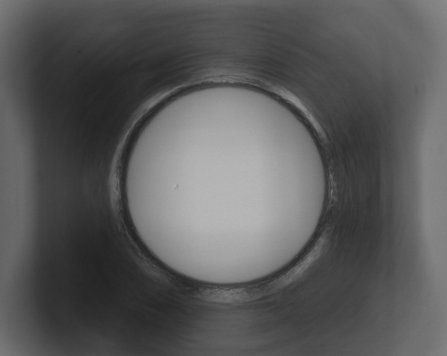 X0000101181074200806270822