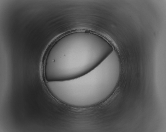 X0000101181076200806270822