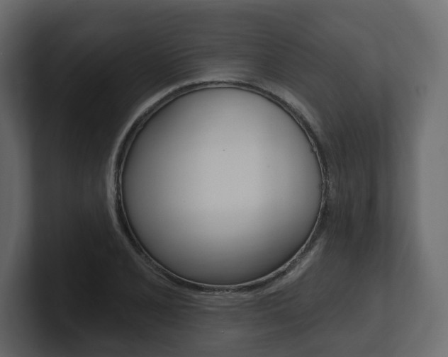 X0000101181077200806270822