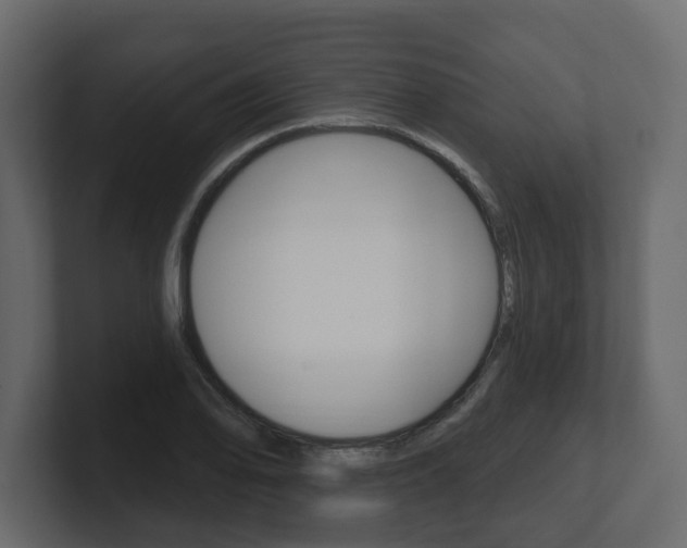 X0000101181078200806270822