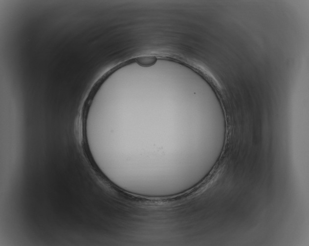 X0000101181079200806270822