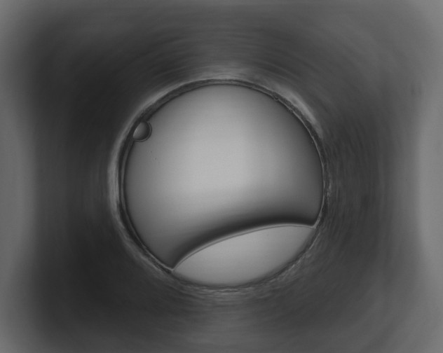X0000101181080200806270822