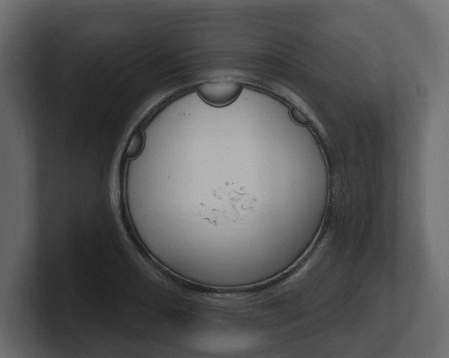 X0000101181082200806270822