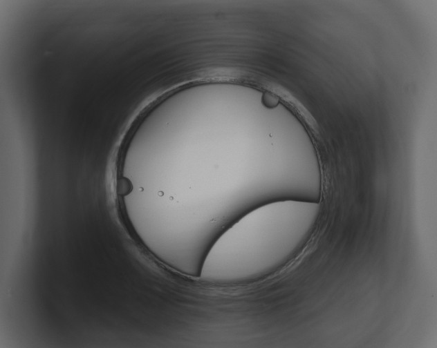 X0000101181083200806270822