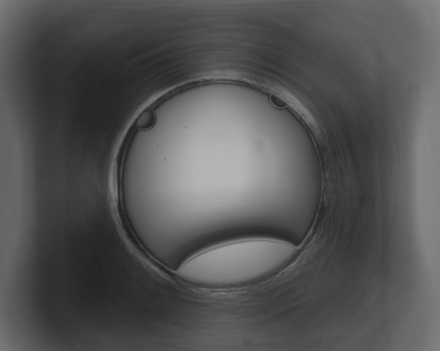 X0000101181084200806270822