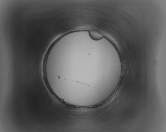 X0000101181087200806270822