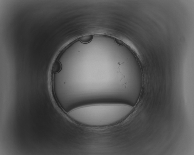 X0000101181088200806270822