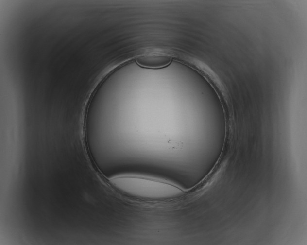 X0000101181089200806270822