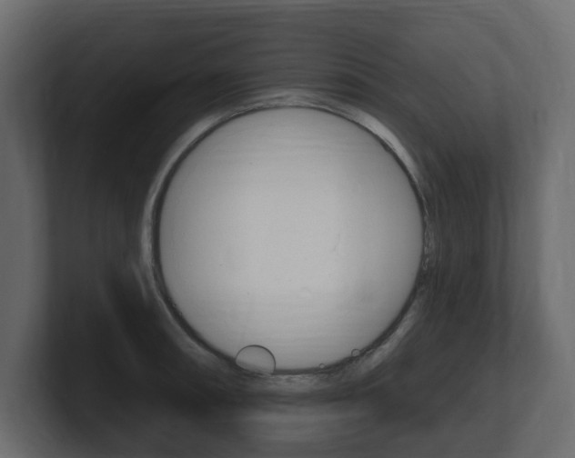 X0000101181090200806270821