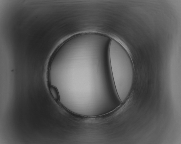 X0000101181093200806270821