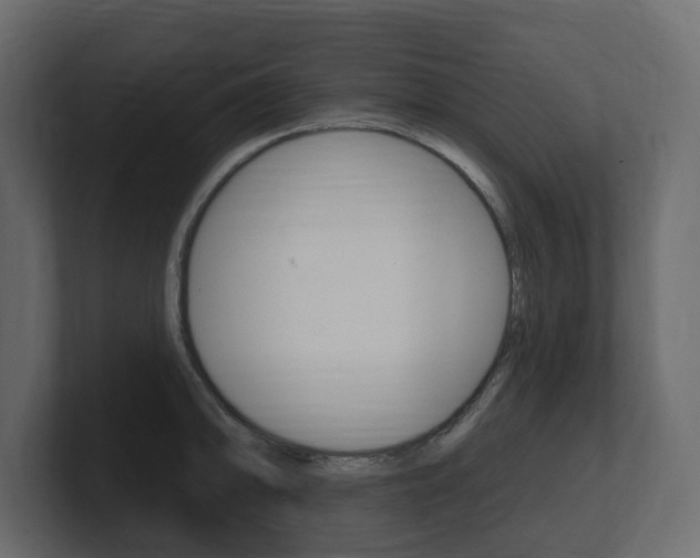X0000101181094200806270821
