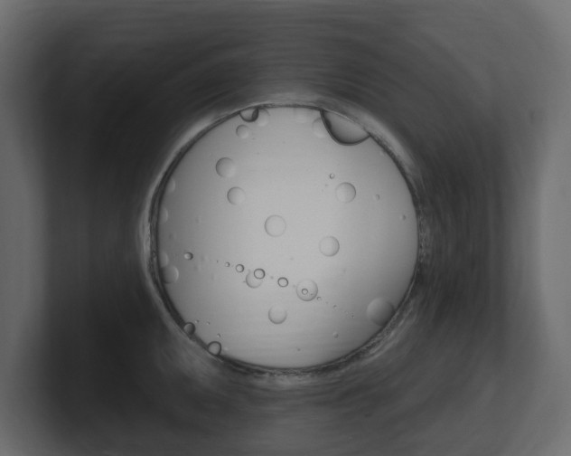 X0000101181095200806270821