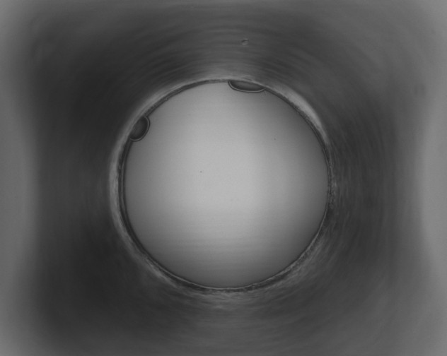 X0000101181096200806270821
