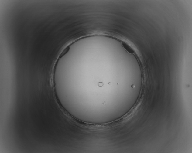 X0000101181097200806270821