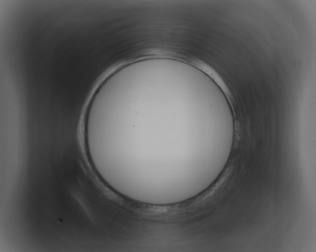 X0000101181098200806270821